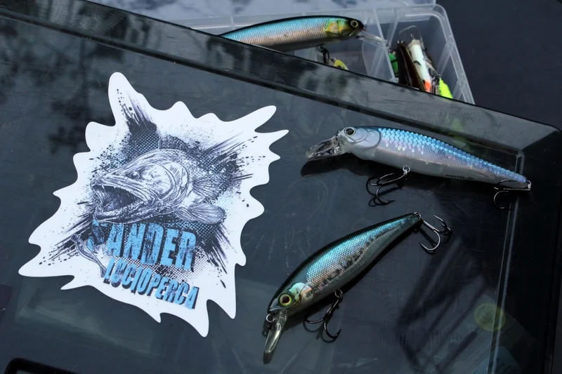 Stickerbogen Zander-Aufkleber