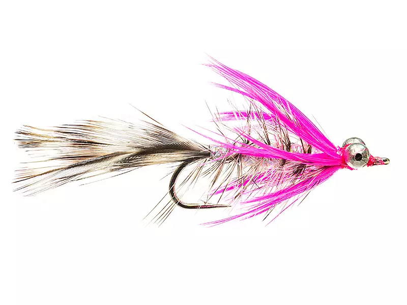MW Polar Magnus