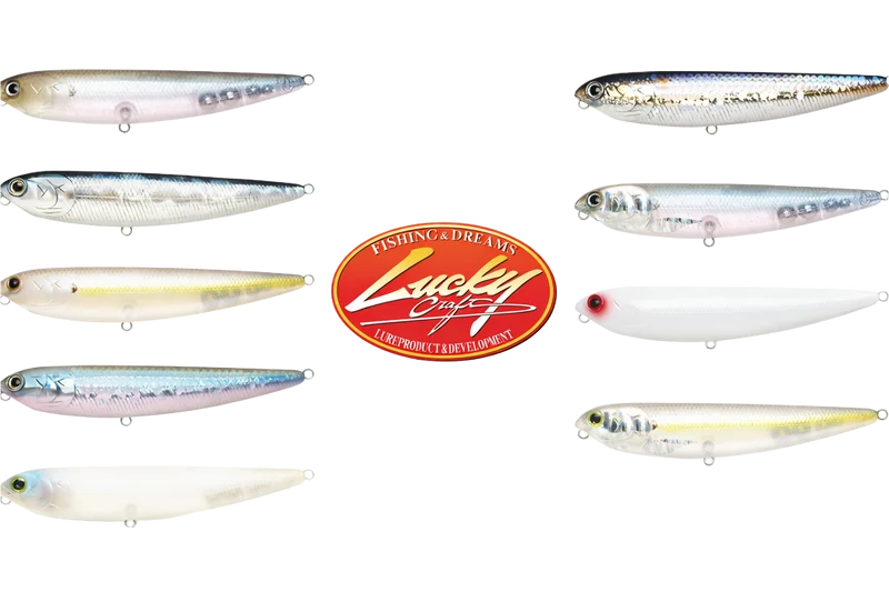 Lucky Craft Sammy 100 / 115 / 65 Topwater Oberfläche Hecht Zander Barsch