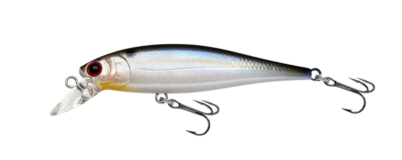 Lucky Craft Pointer 65 und 65DD Twitchbait Barsch Zander Döbel Rapfen