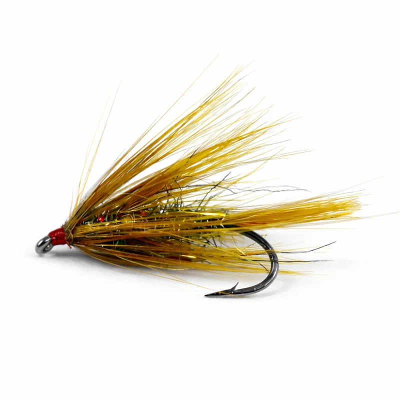 Brendas Mor Splash