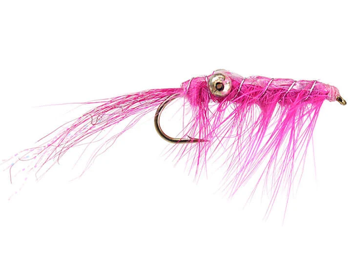 Glimmershrimp Pink