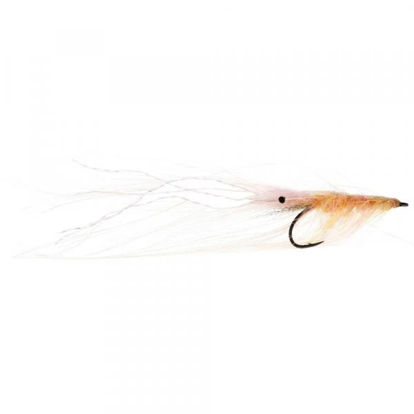 Pattegris Salmon