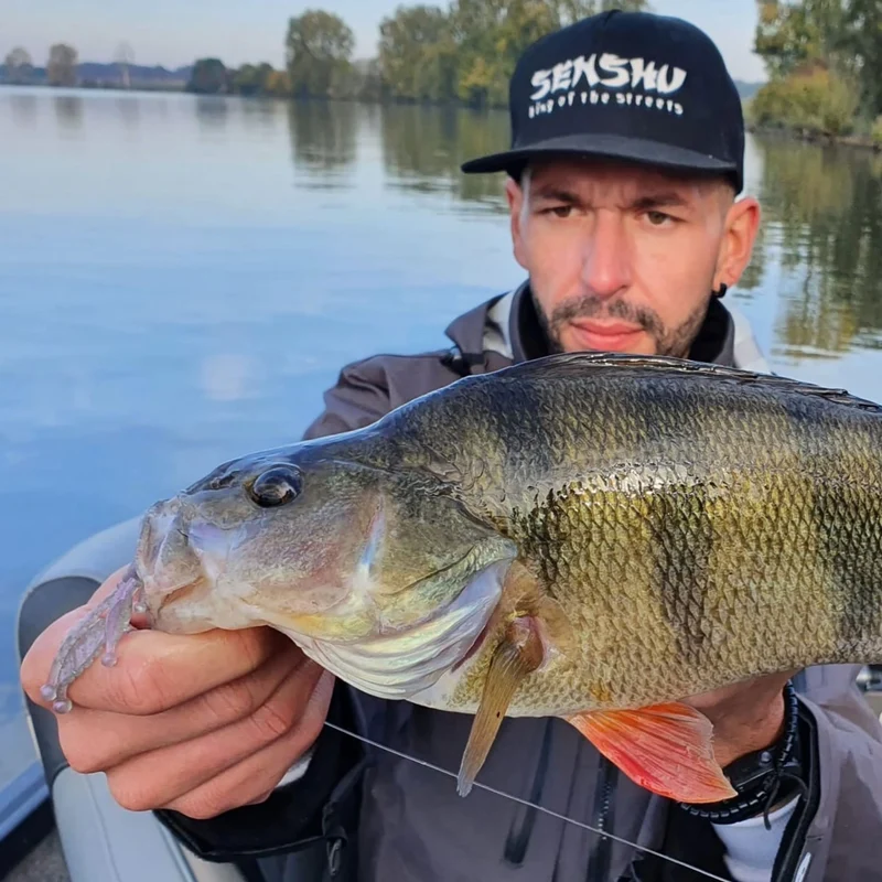 Senshu Asuka Craw – Creature Bait für Barsch, Zander & Schwarzbarsch