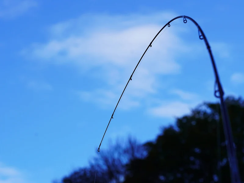 Trout Master Passion Trout Spin SPRO Spinnrute Forellen