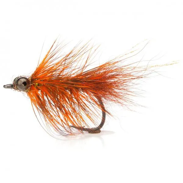 UF Orange Frede