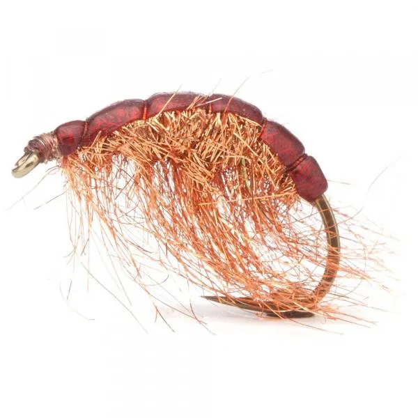 UF Kopperloppen Brown