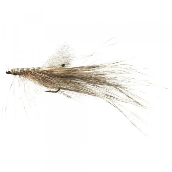 Pattegrisen Grizzly DS