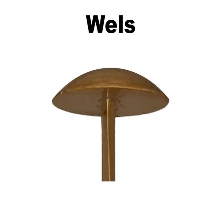 inSomnia Wallerholz Wels | Tilo Andreas Edition | Profi Klopfholz für Waller