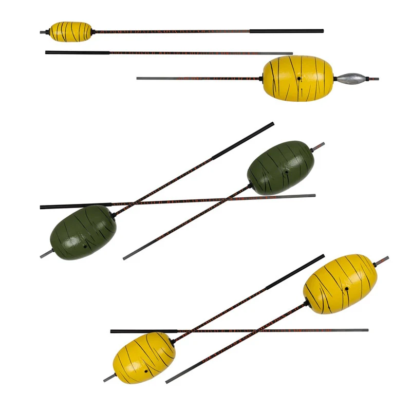 Dudis Wallerknochen Evolution