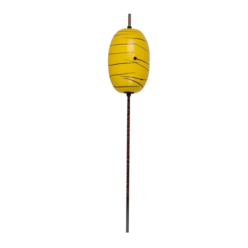 Dudis Wallerknochen Evolution