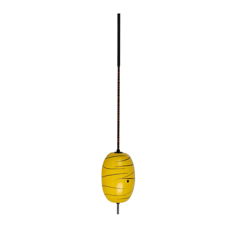 Dudis Wallerknochen Evolution
