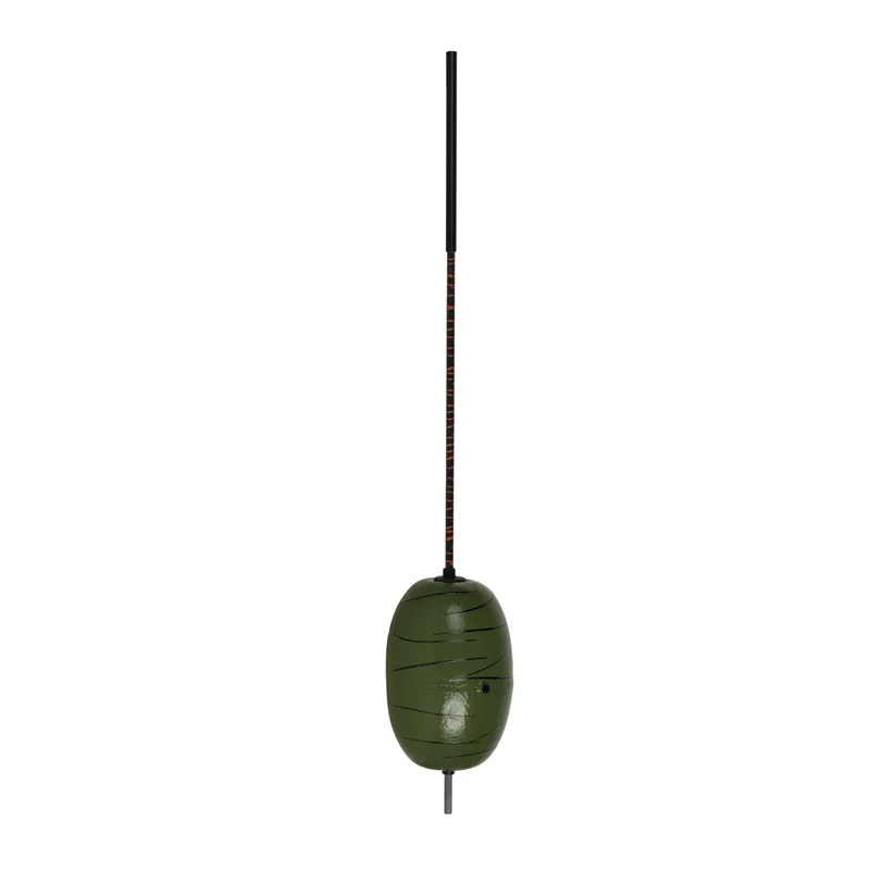 Dudis Wallerknochen Evolution