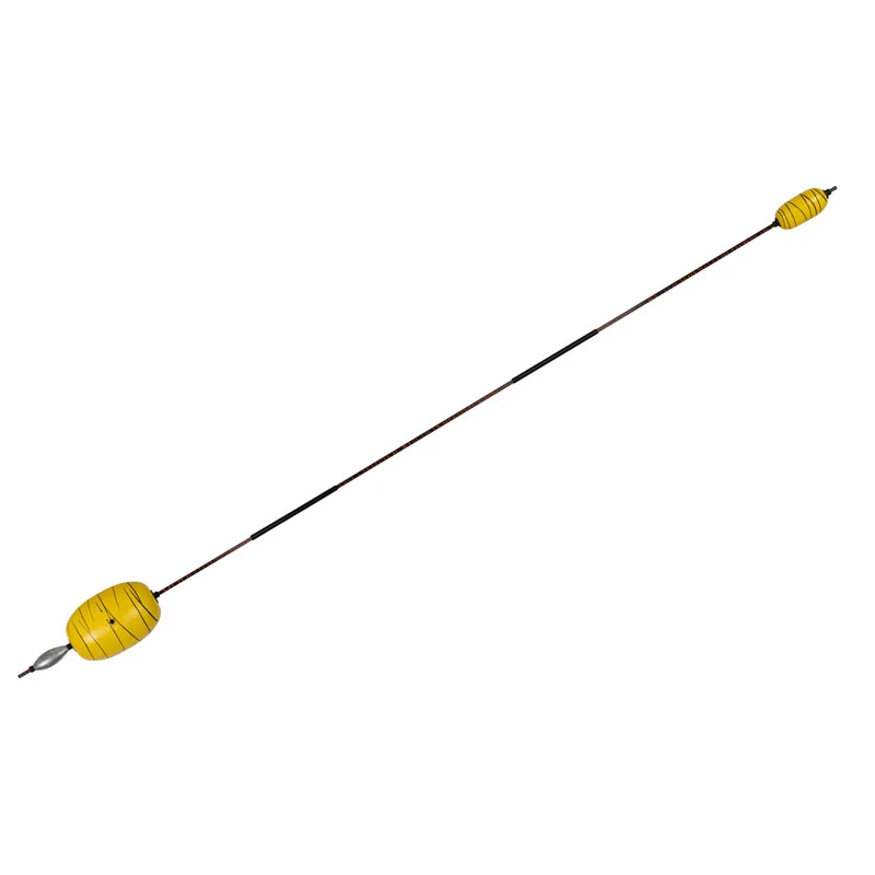 Dudis Wallerknochen Evolution