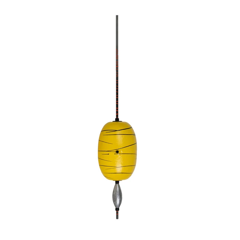 Dudis Wallerknochen Evolution