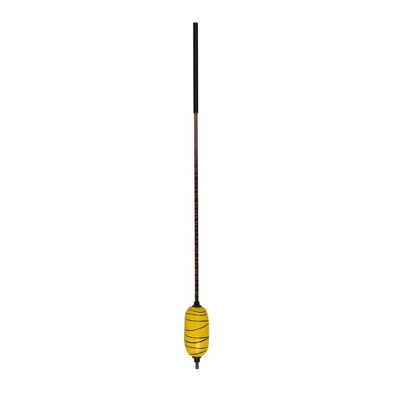 Dudis Wallerknochen Evolution
