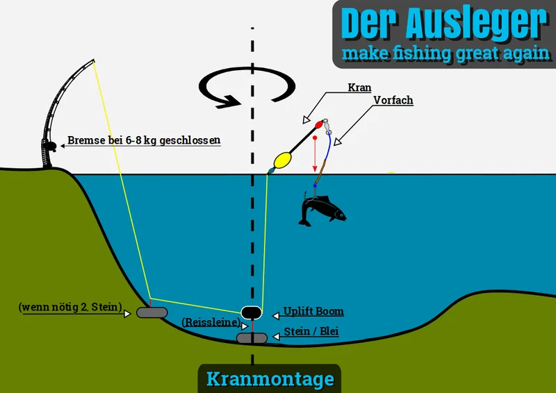 Dudis Wallerknochen Evolution