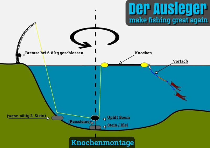 Dudis Wallerknochen Evolution