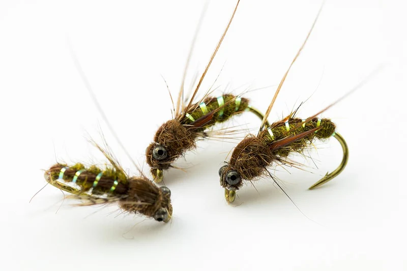 Schwimmende Köcherfliege