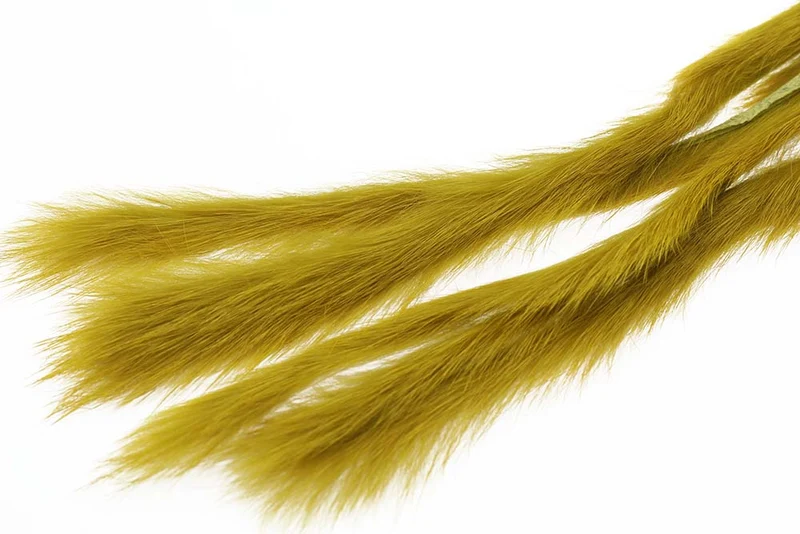 3 mm Rabbit Zonkerstrip - Goldoliv