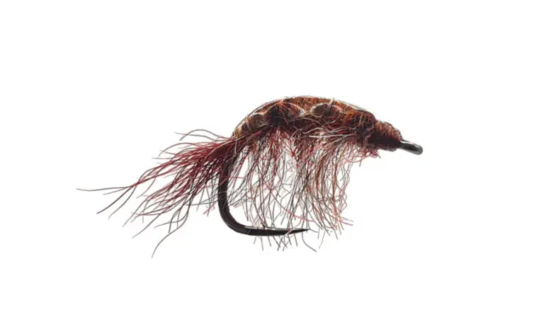 Gammarus