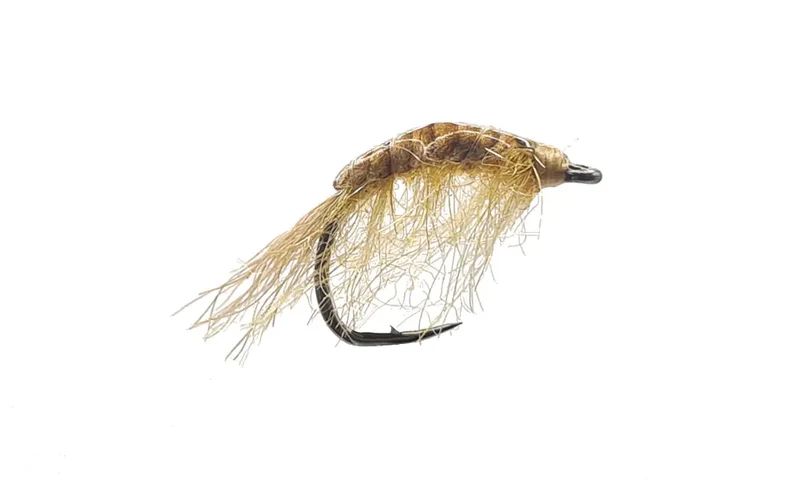 Gammarus