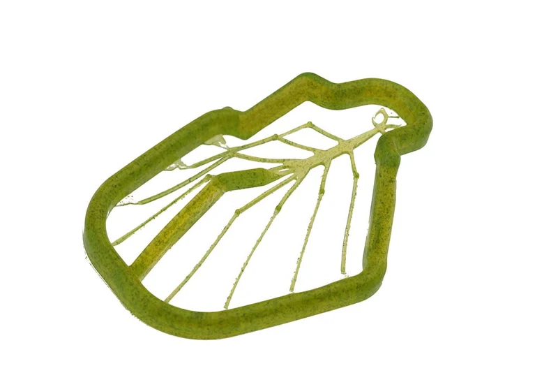 Einfache Garnelenbeine 2.0: Garnelenbeine – Transparent Dirty Olive